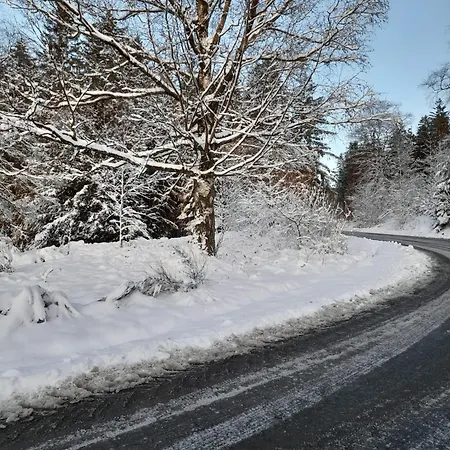 Haus Konthe, Apartament