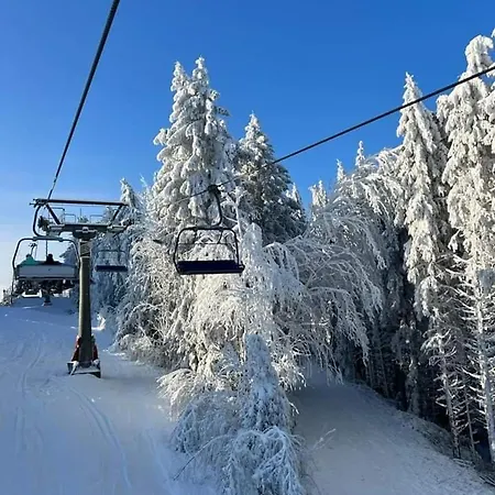 Haus Konthe, Daire *