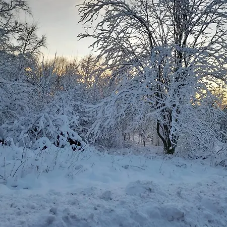 Haus Konthe, Apartament *