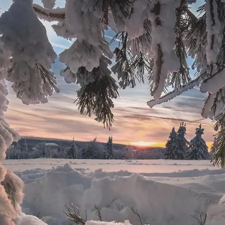 Haus Konthe, Apartmán