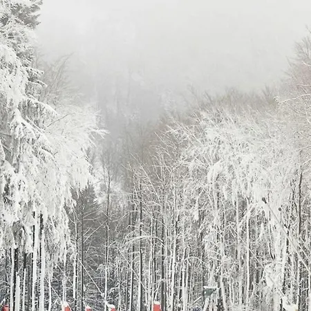 Haus Konthe, Daire *