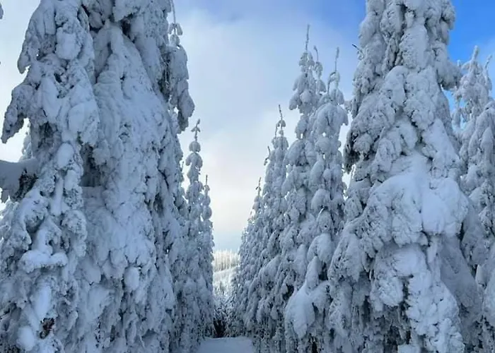 Haus Konthé, Winterberg