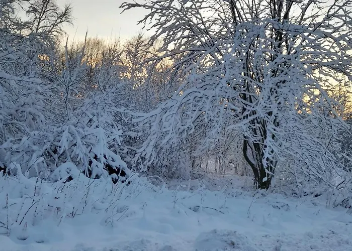 Haus Konthe, شقة *