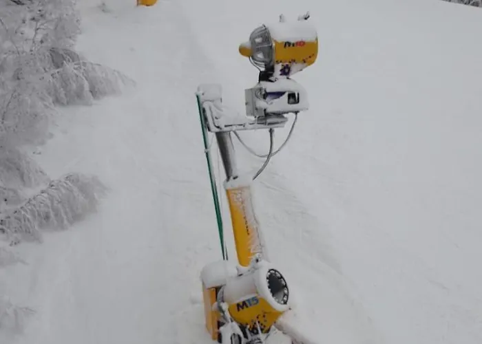 Appartement Haus Konthé,