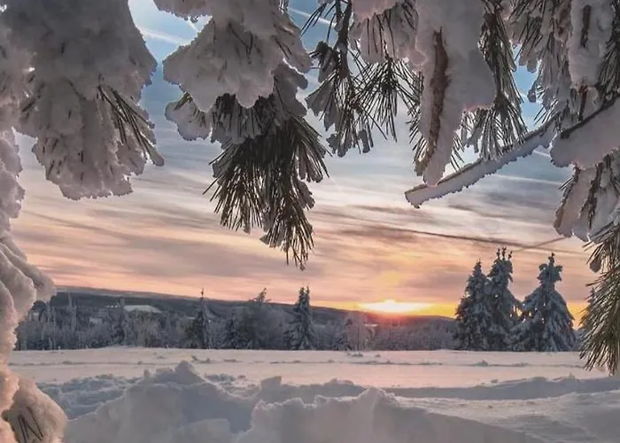 Haus Konthé, Appartement