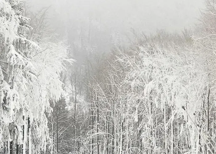 Haus Konthe, شقة *